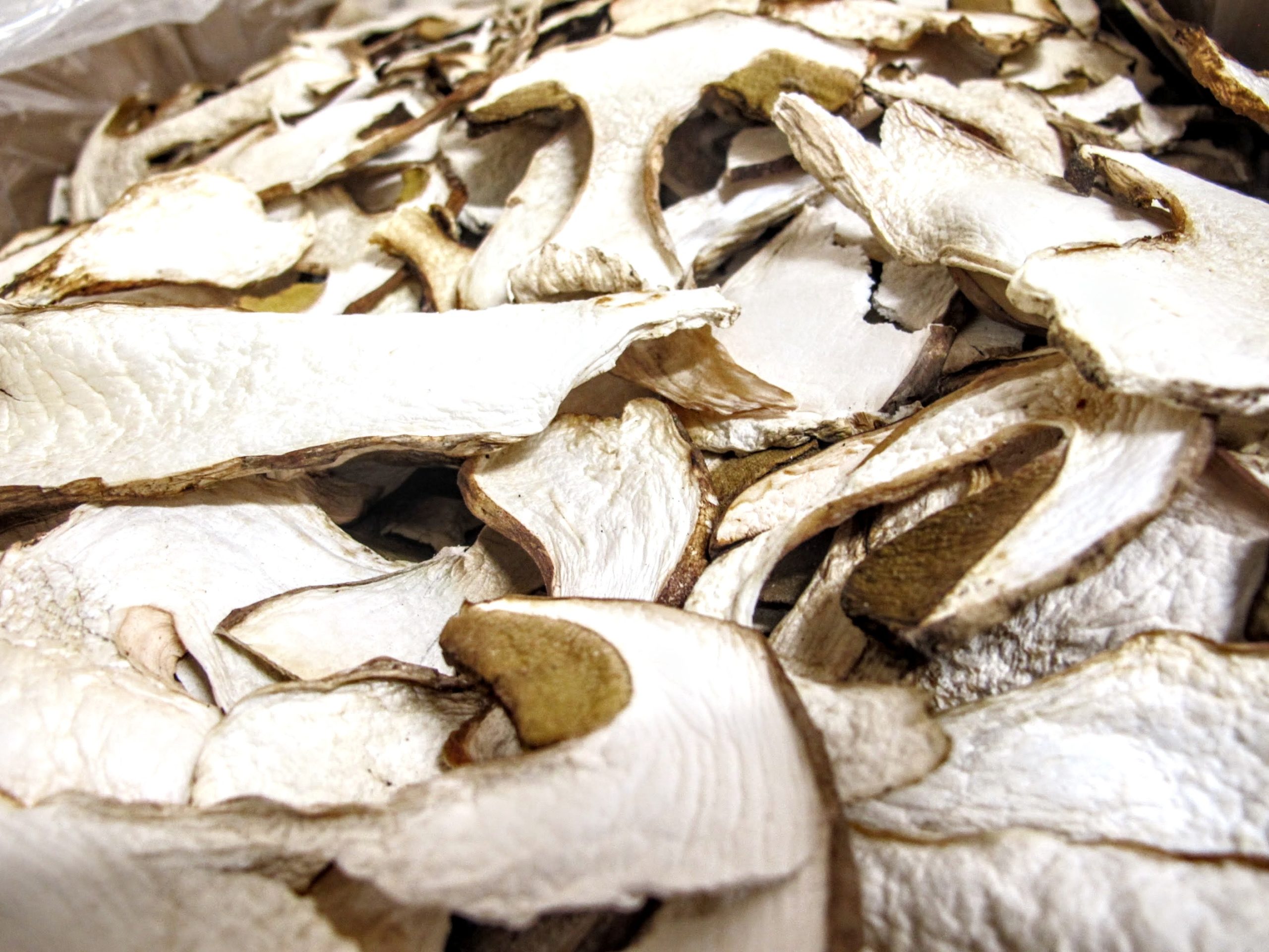 Conceited Parana River Helplessness Porcini Mushrooms – The real ones, certified Italian!!!
