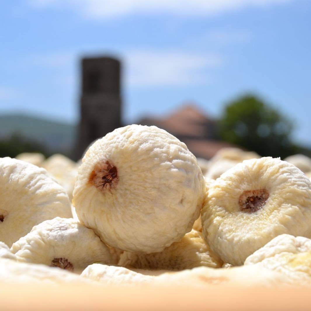 dried white cilento figs dottato