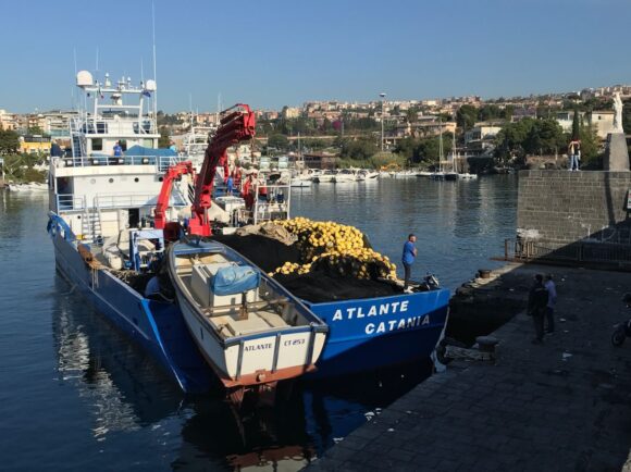 Sicilian tinned fish Testa conserve pescatori nel Mediterraneo
