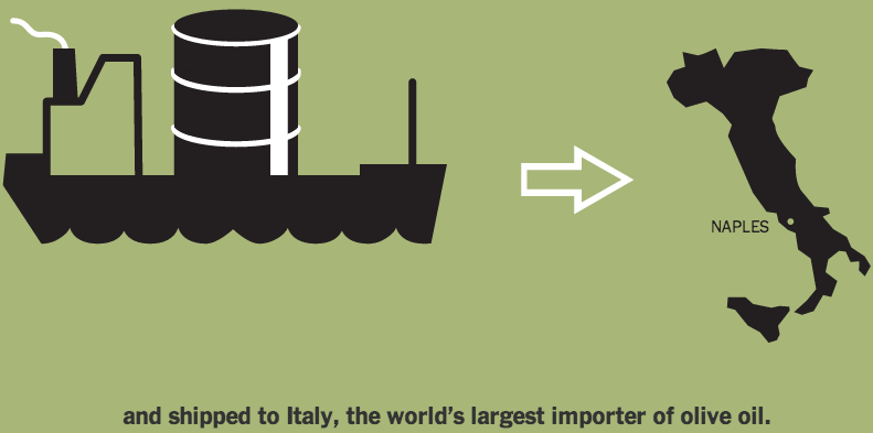 Italy The World's Largest Importer of Olive Oil
