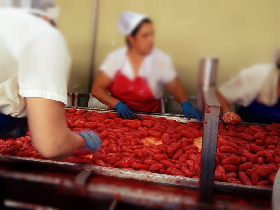 Processing freshly harvested San Marzano Tomatoes