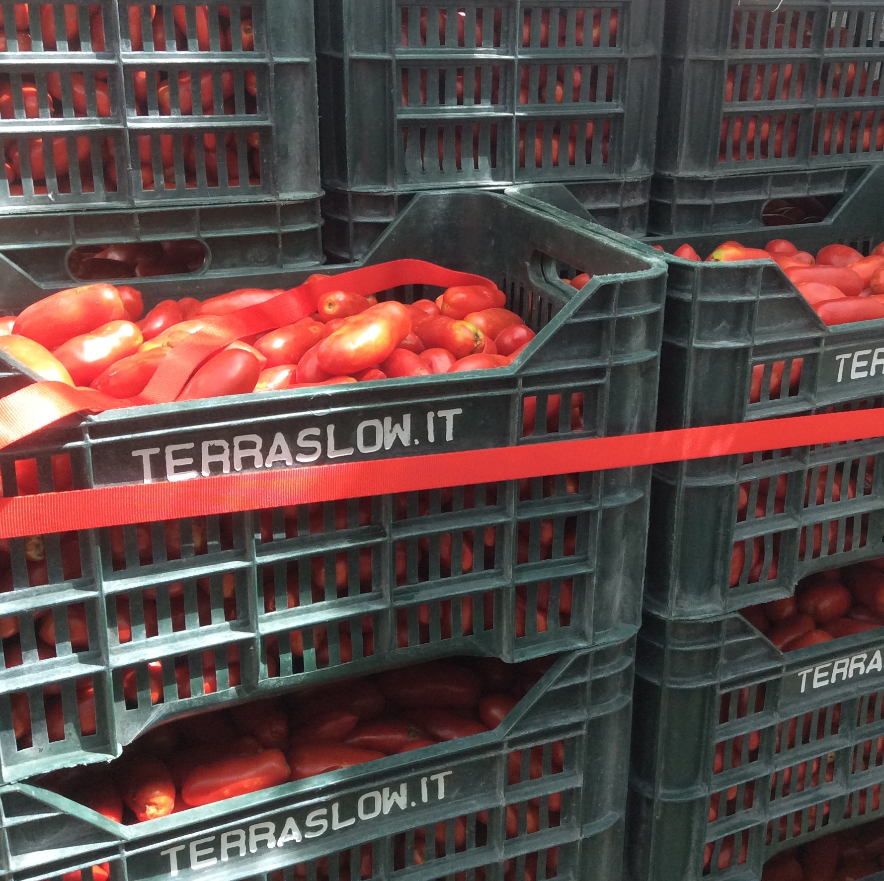 Sabatino Abagnale "Miracolo di San Gennaro" tomatoes