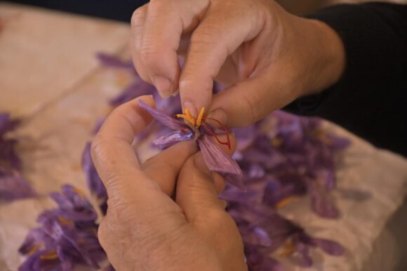 dop italian saffron from l'aquila