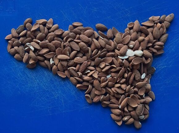 sicilian almonds