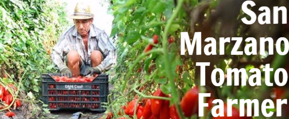 san marzano tomato farmer