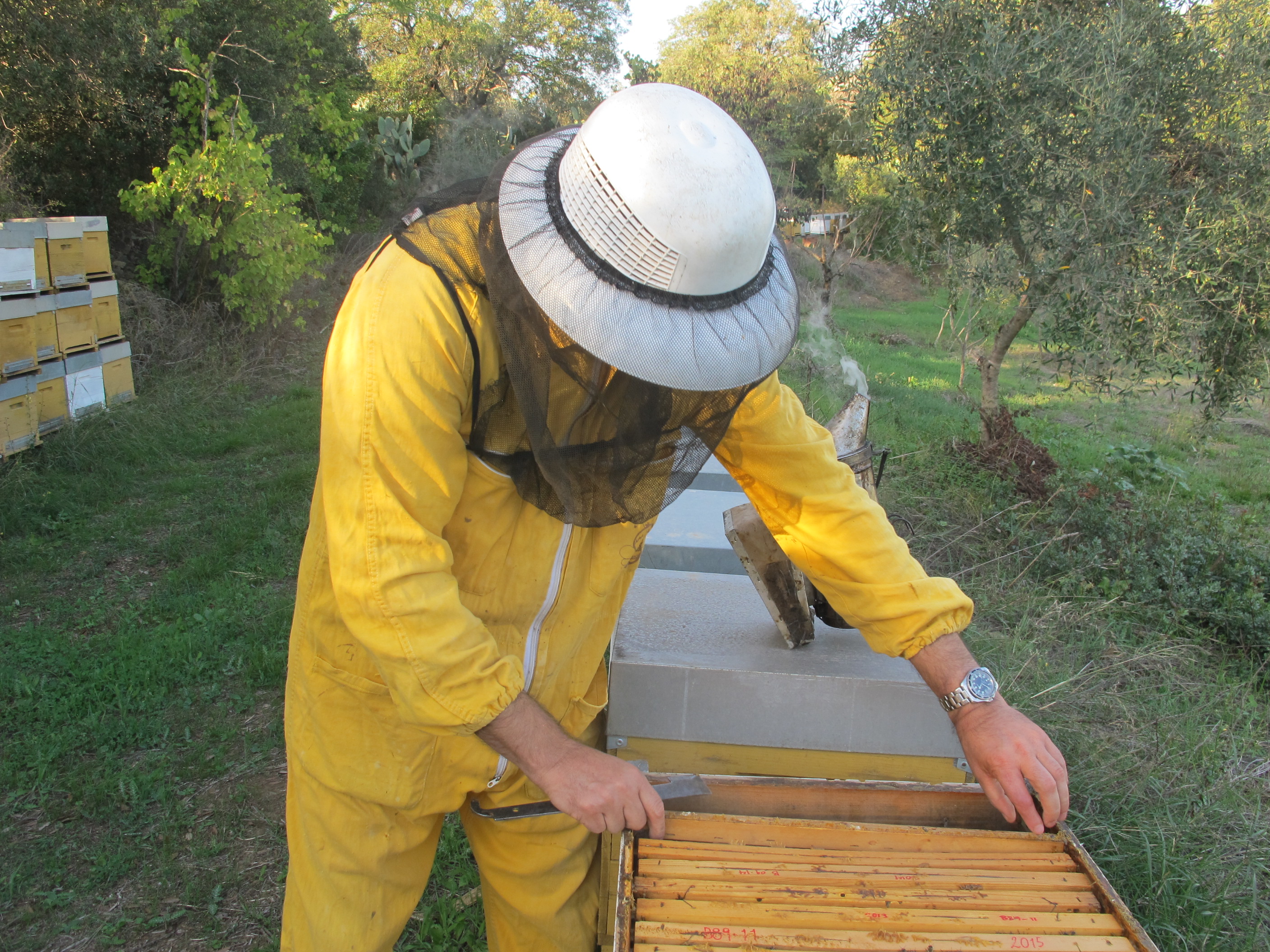 dan toffey instagram sardegna beekeeper