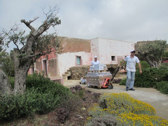 pantelleria sicily capers