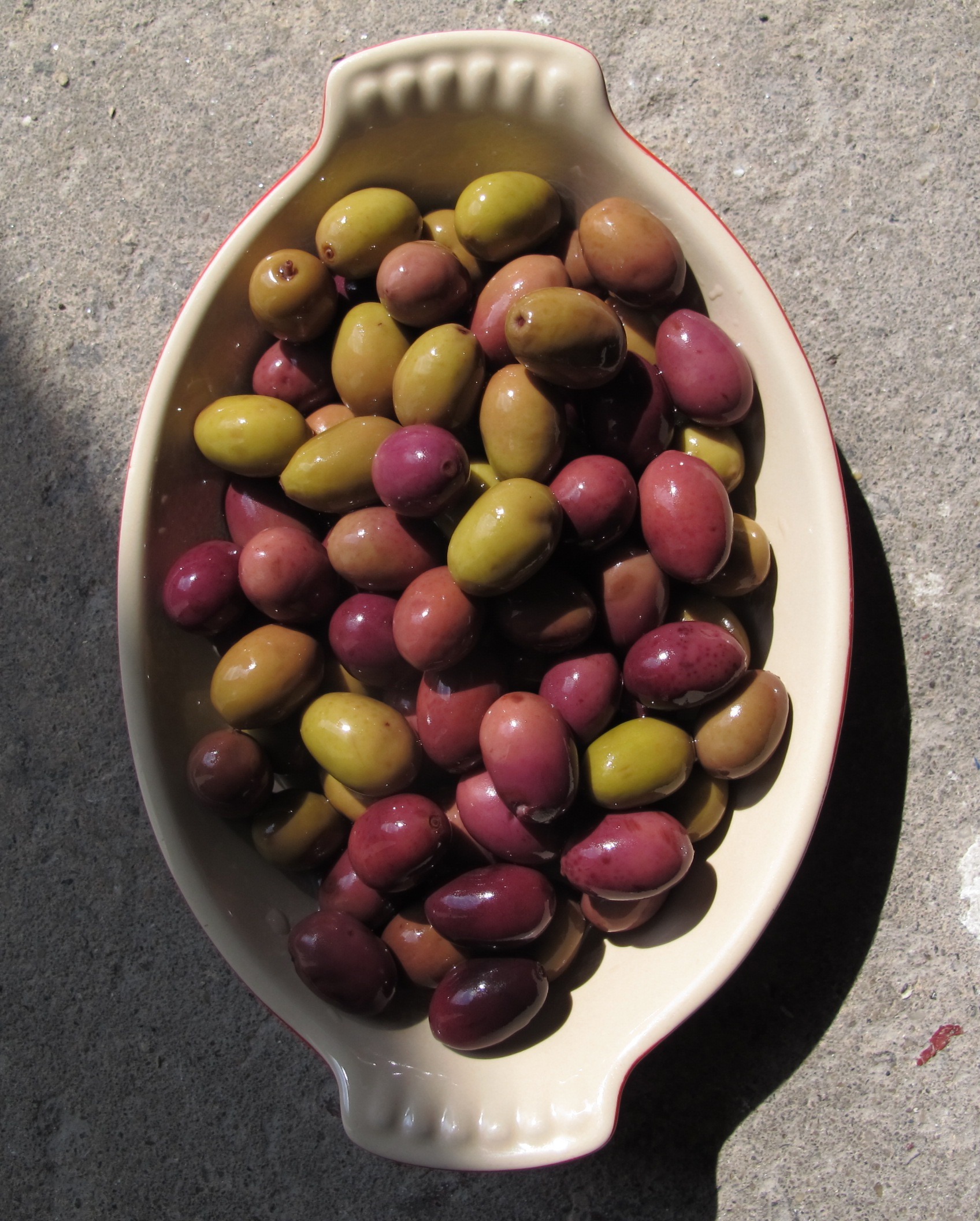 taggiasca olives liguria benza gustiamo