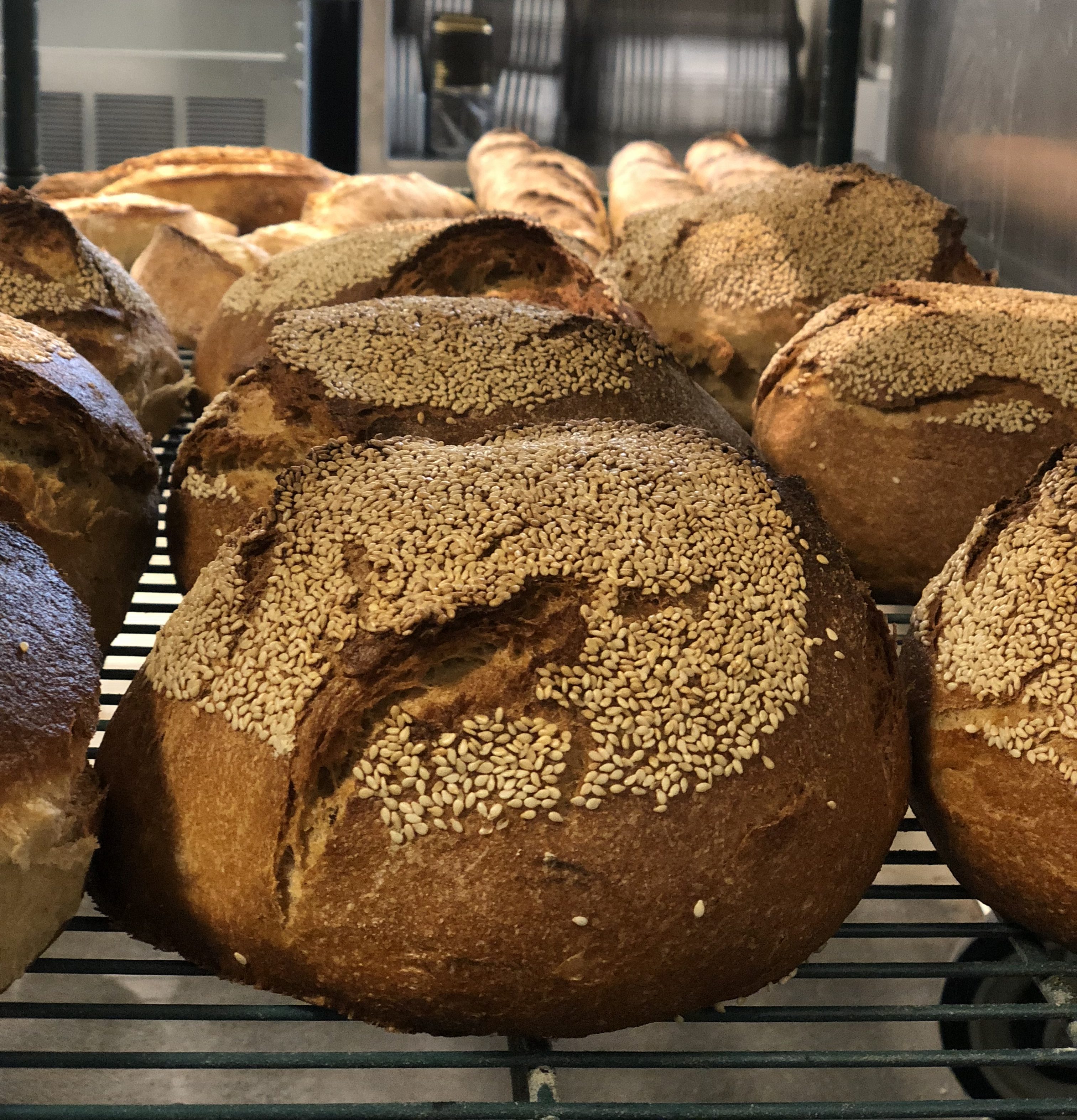 Pane nero castelvetrano recipe