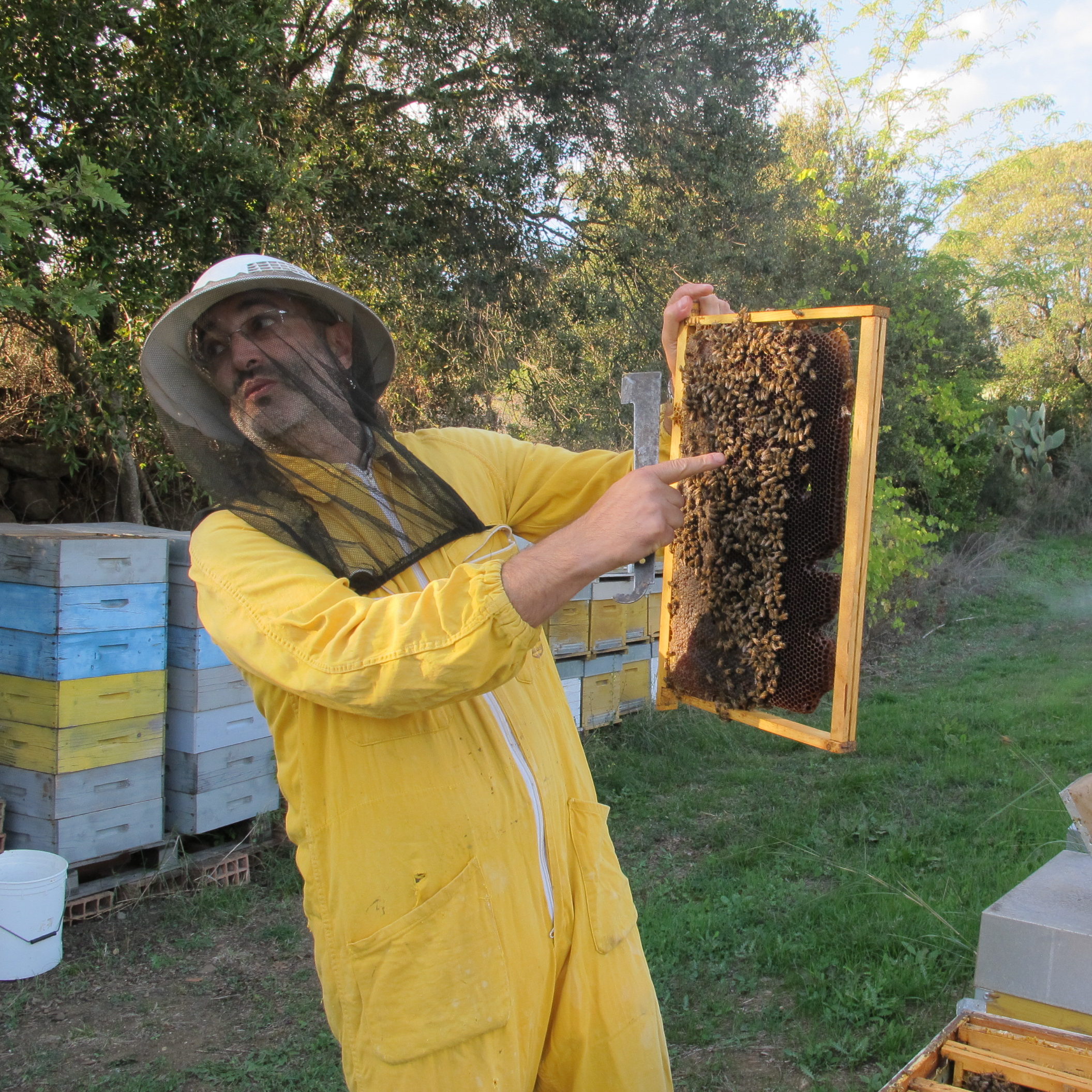 Corbezzolo bitter honey sardegna manias gustiamo