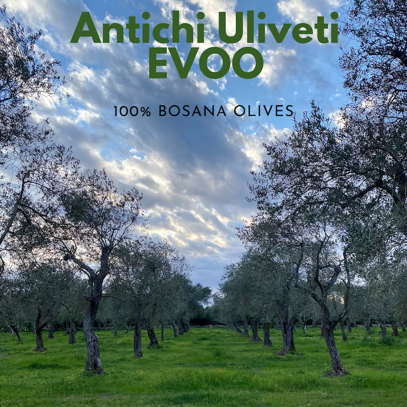 Gustiamo Sardegna Bosana Olives Antichi Uliveti EVOO