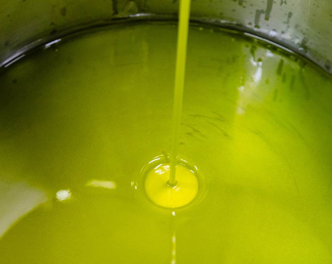 real vs fake extra virgin olive oil