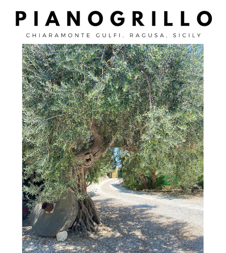 Pianogrillo extra virgin olive oil Sicilia