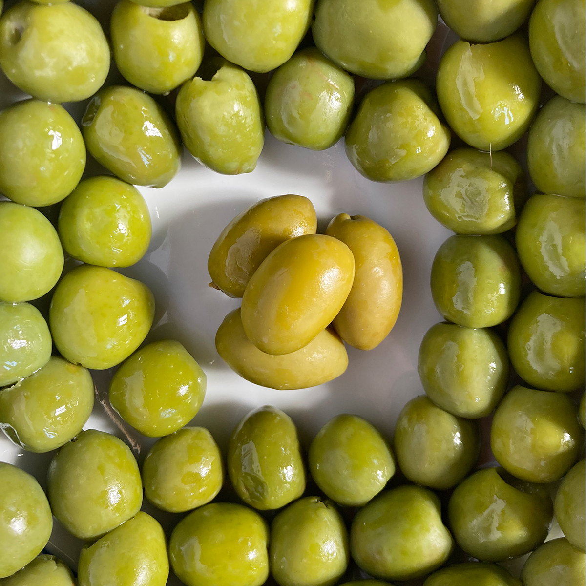 Pianogrillo Castelvetrano olives and other olives