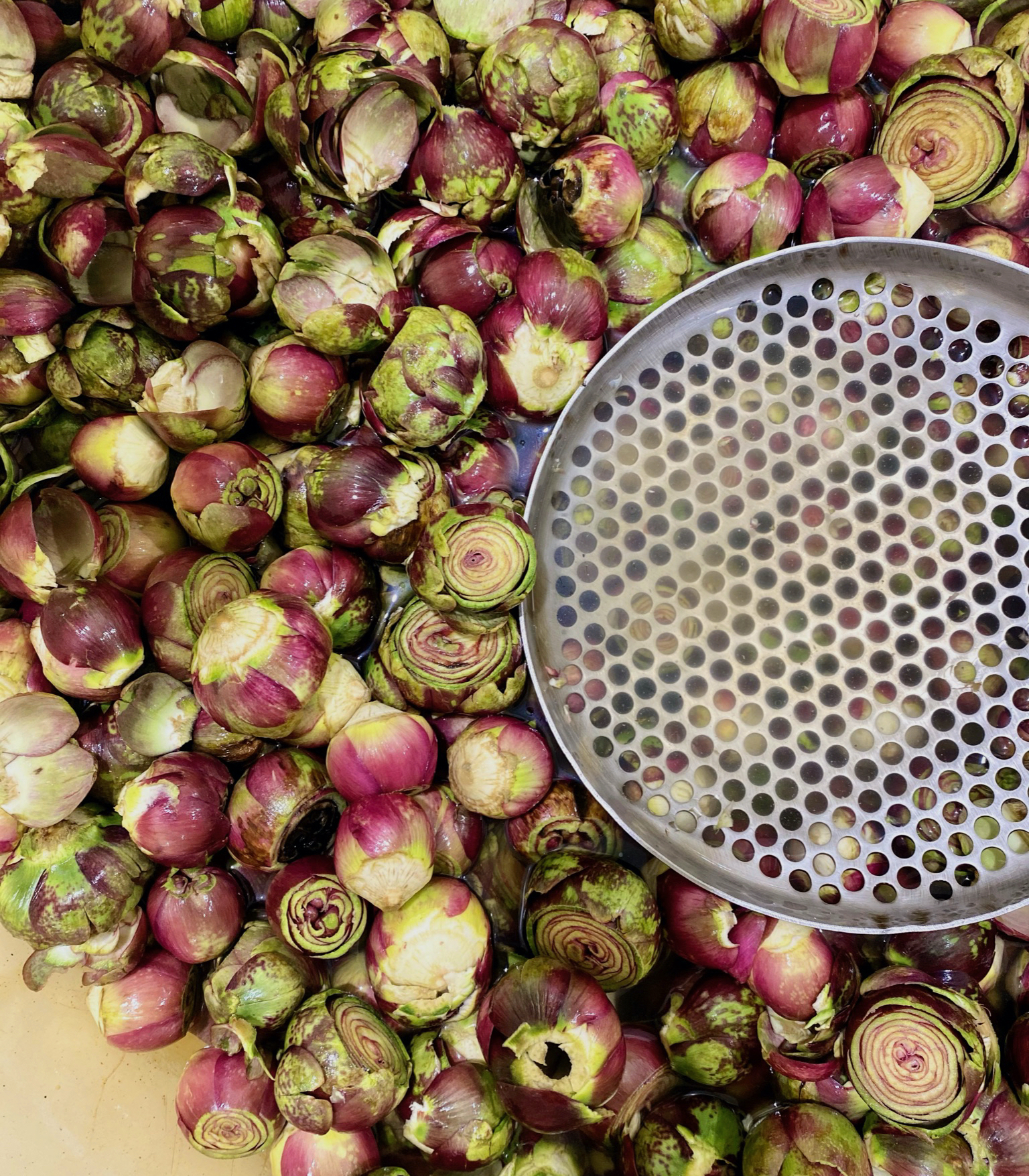 Cilento land of artichokes carciofini Maida