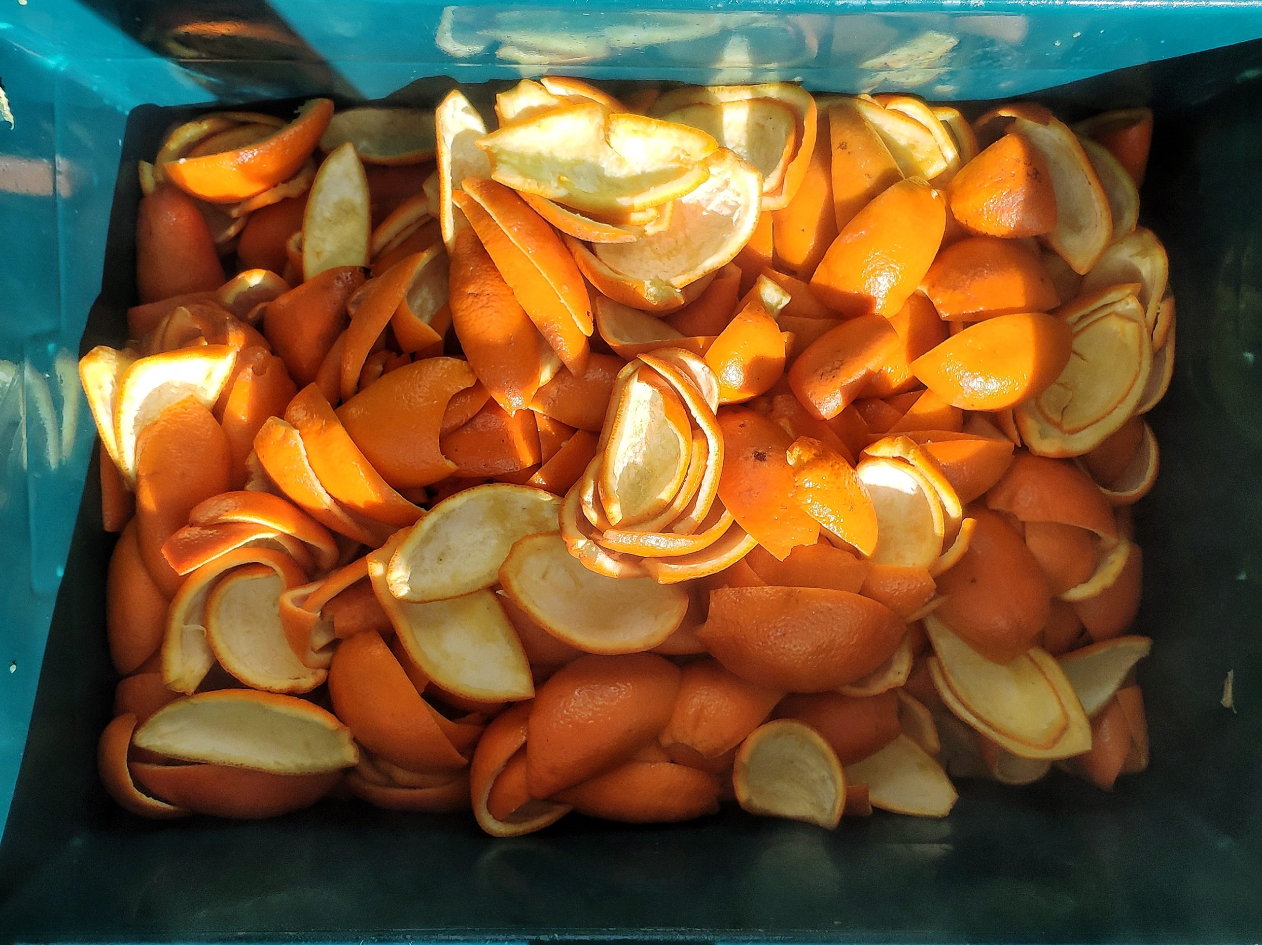 Tub of orange peels