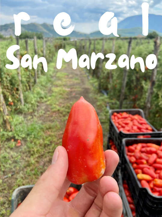 Real san marzano tomatoes
