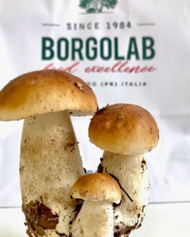 porcini sott'olio borgolab mushrooms