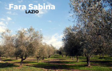 New harvest cru di cures extra virgin olive oil