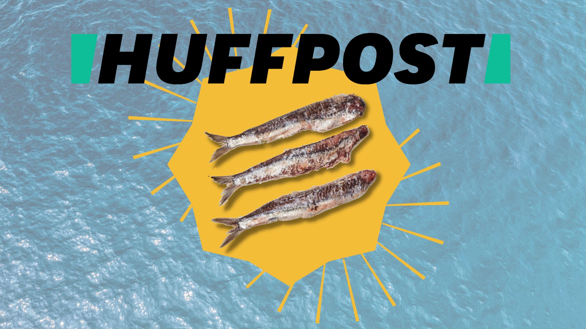 anchovies huff post