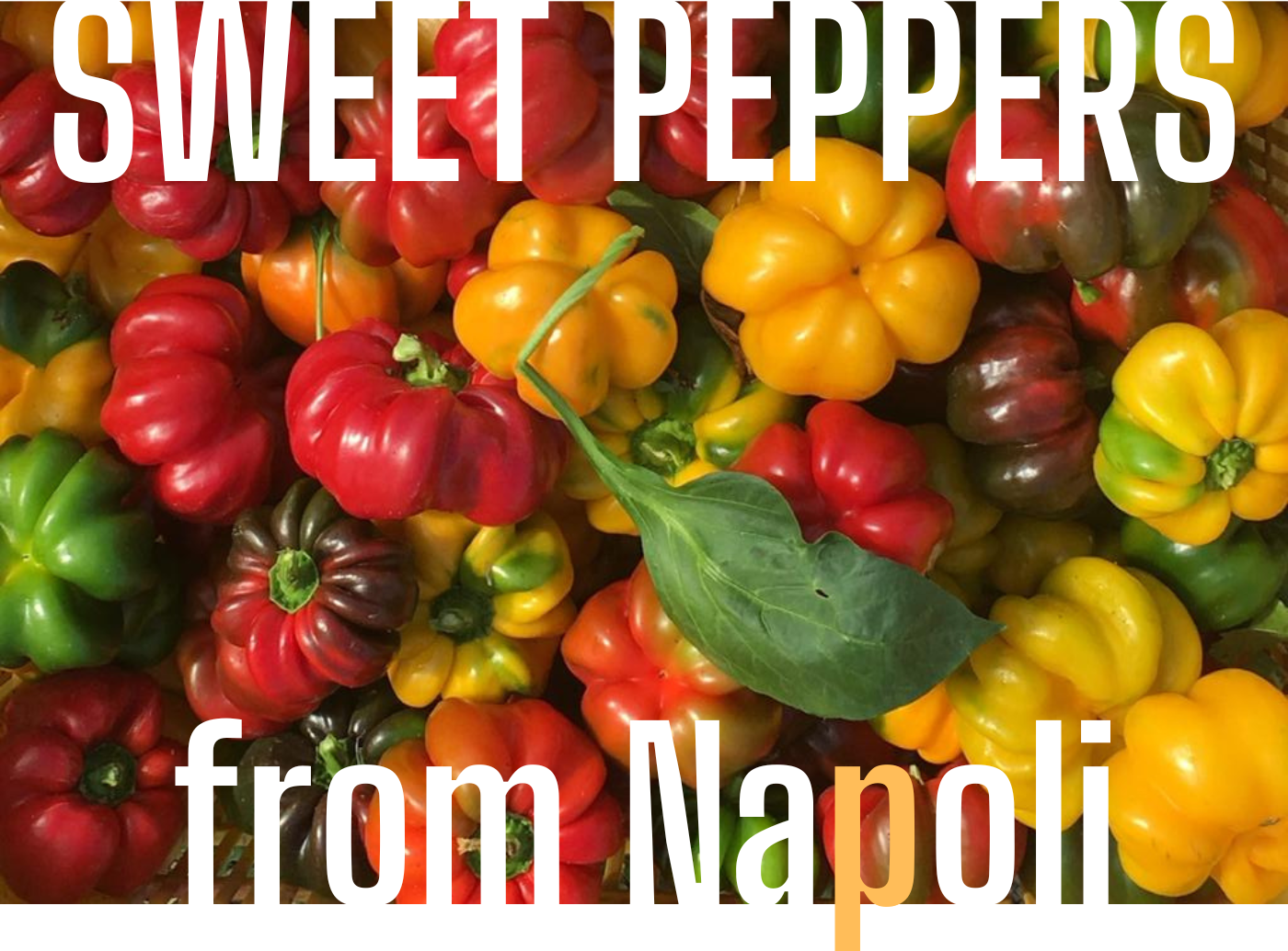 Papaccelle sweet peppers from Naples