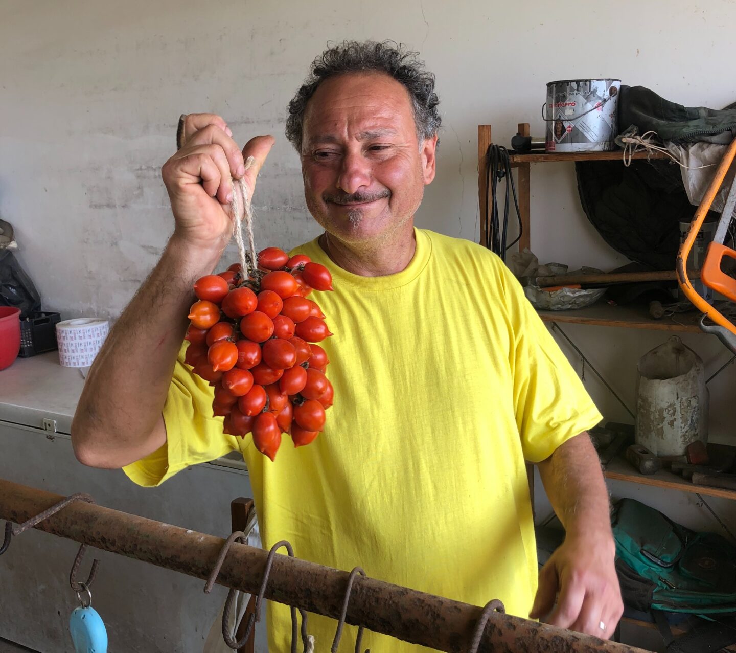 Cooked Tomato is better than Raw