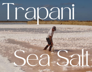 Trapani Sea Salt raw unwashed wet salt harvested by hand