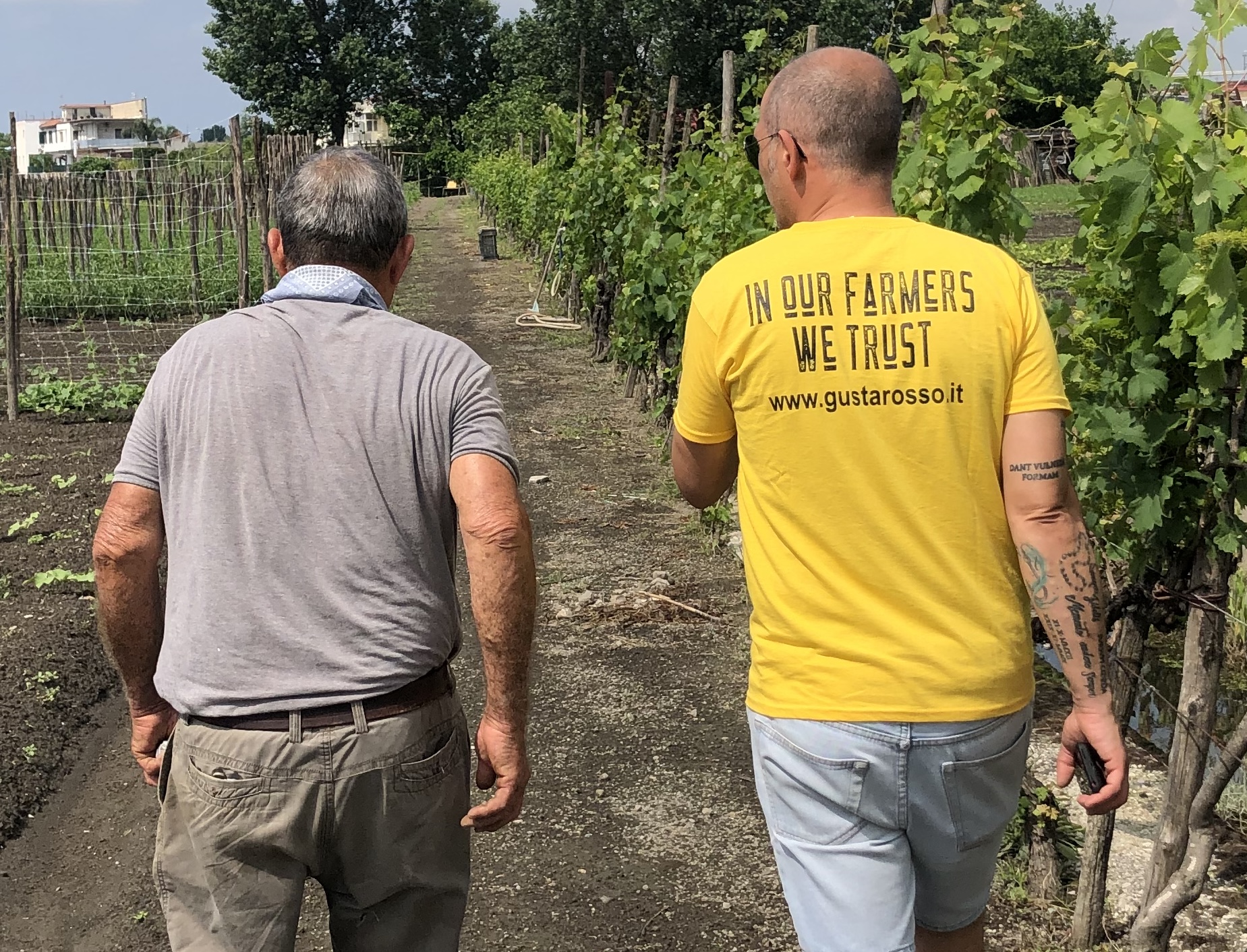 san Marzano tomatoes gustarosso Paolo and Vincenzo