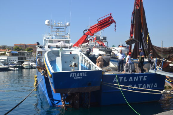 Bluefin Tuna Testa Conserve Sicily preserved in EVOO