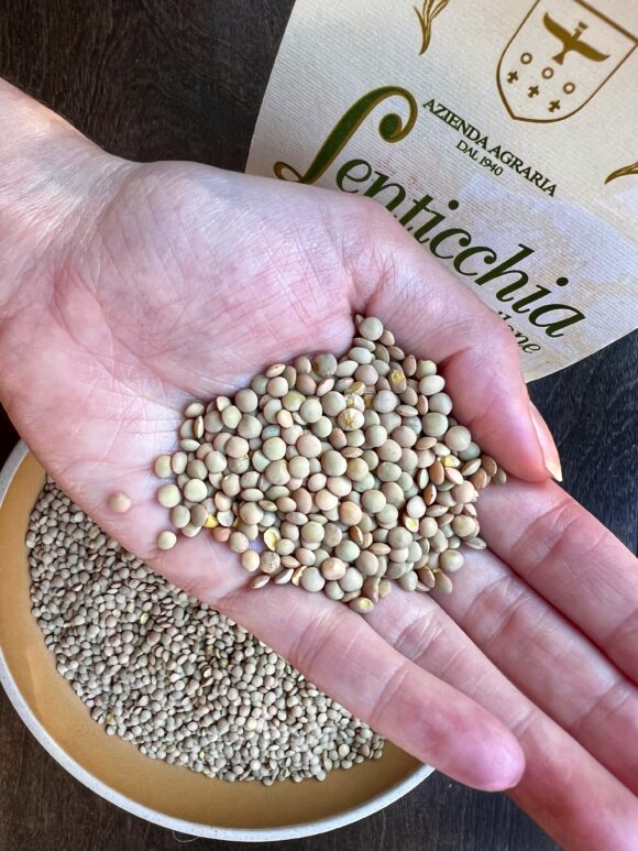 open hand holding brown lentils
