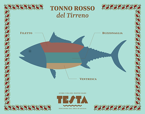 italian bluefin tuna diagram