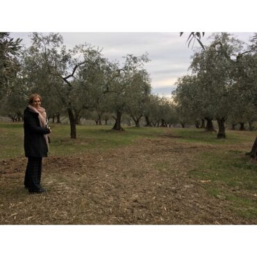 woman standing in olive grove