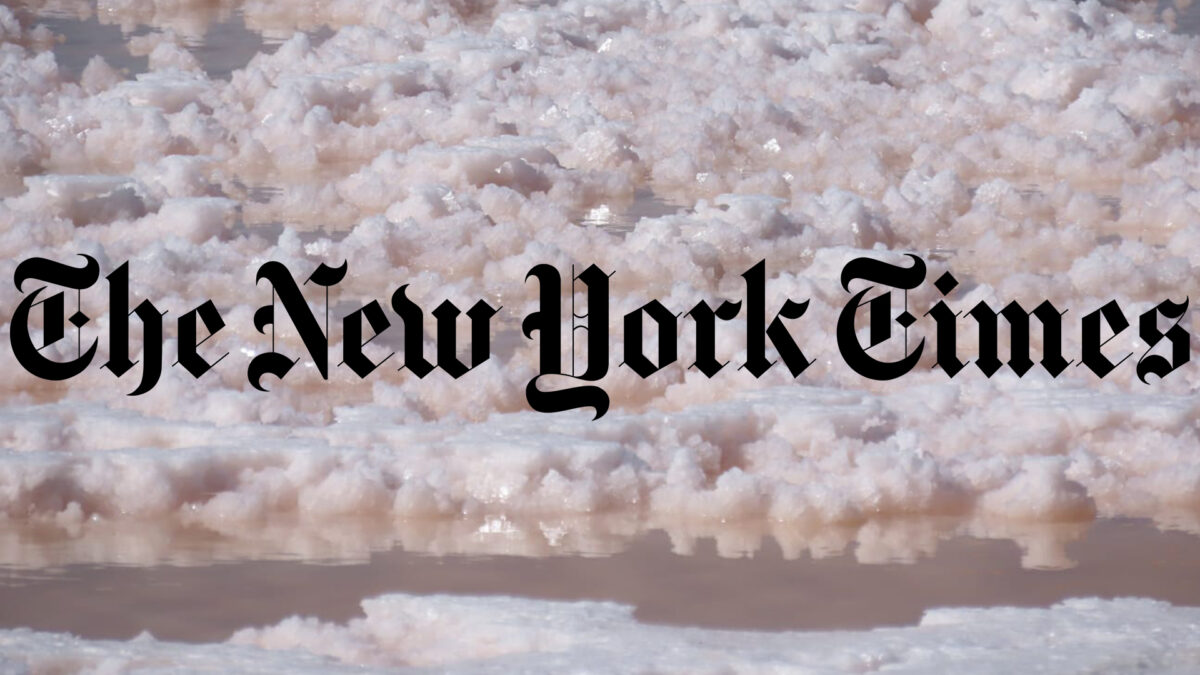 Sea Salt vs. Table Salt in the New York Times