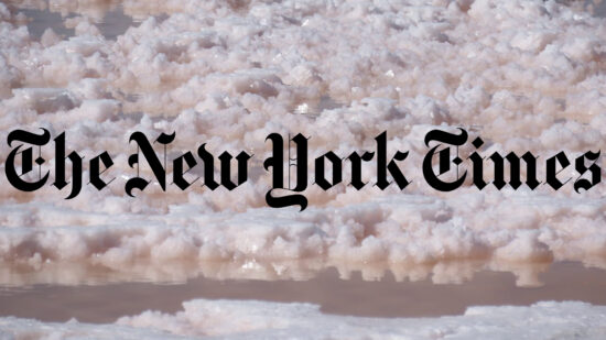 Sea Salt vs. Table Salt in the New York Times
