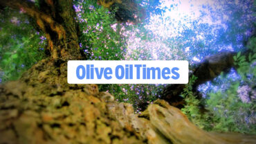 pressure extra virgin olive oil parco dei buoi molise