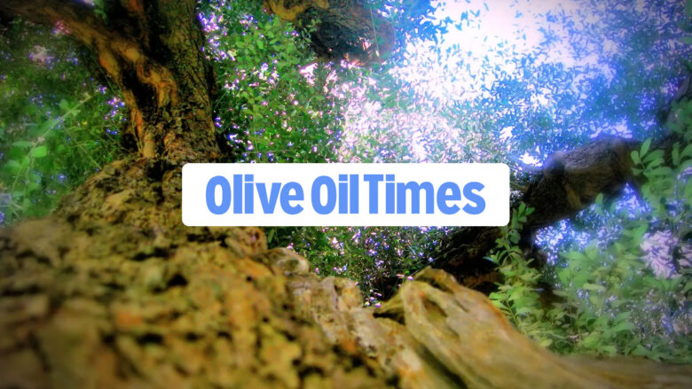 pressure extra virgin olive oil parco dei buoi molise
