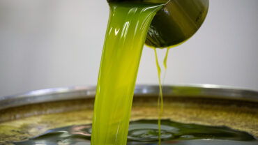 italian extra virgin olive oil umbria quinta luna