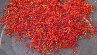 dop italian saffron from l'aquila