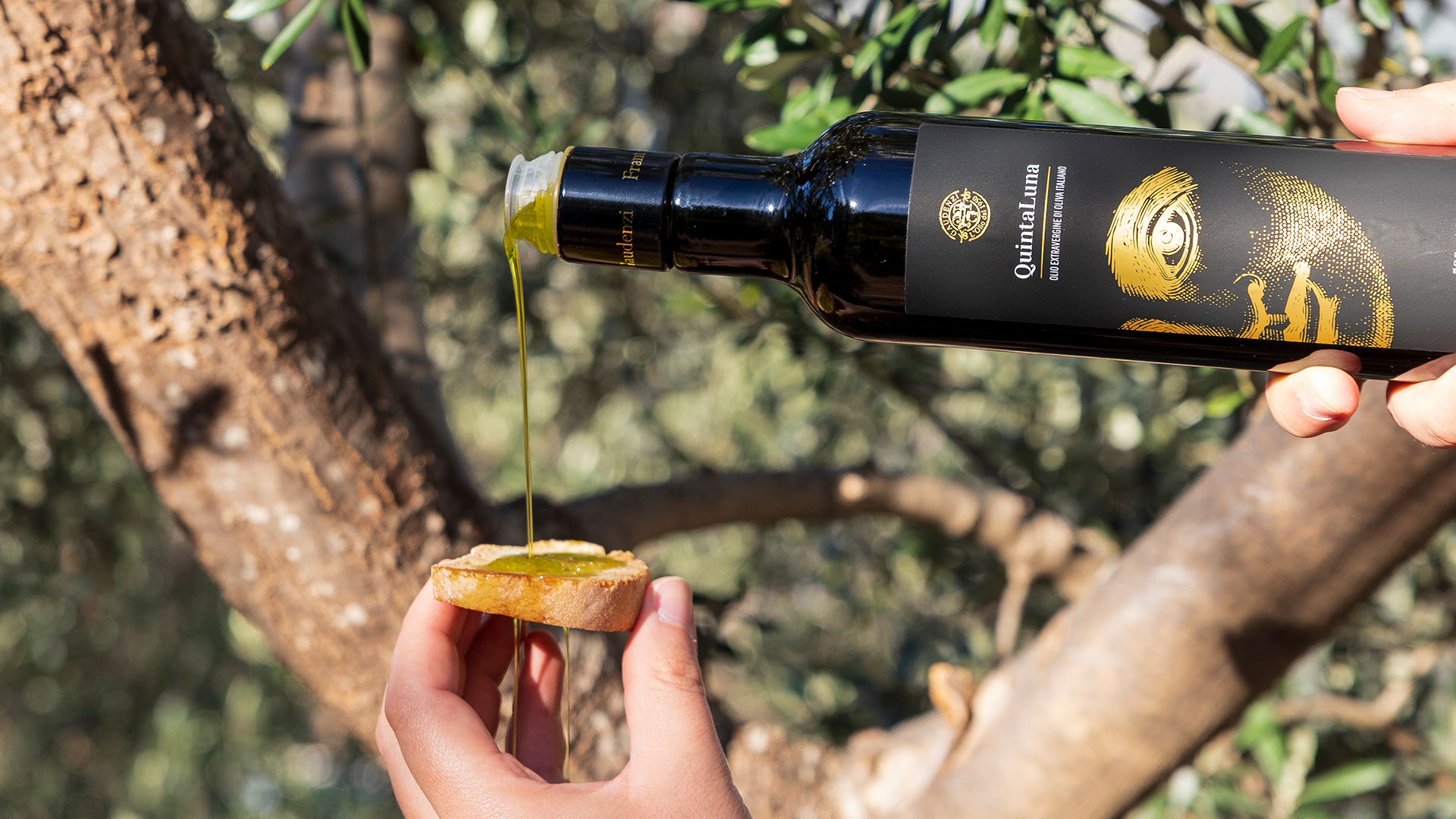 quinta luna extra virgin olive oil