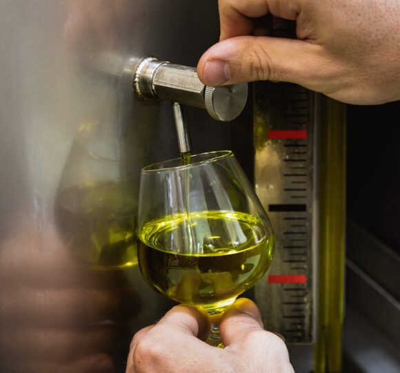 extra virgin olive oil is like wine