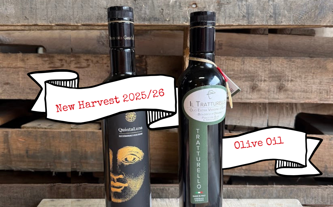 New harvest olive oil from molise and umbria