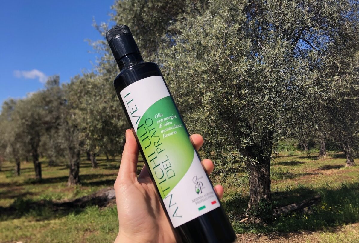 new harvest sardegna extra virgin olive oil bosana